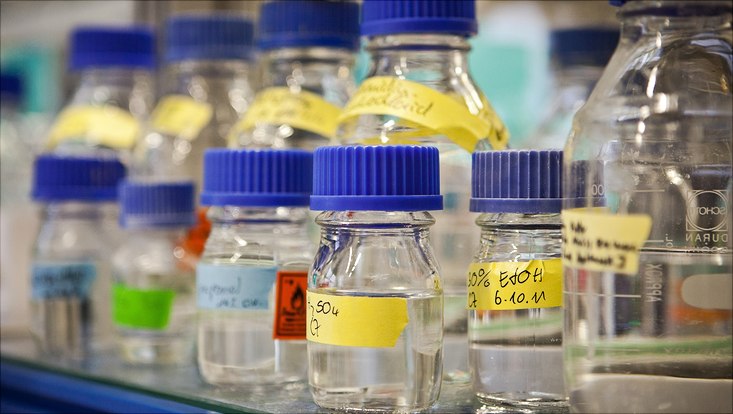 Nahaufnahme von kleinen beschrifteten Glasgefäßen, die mit durchsichtigen Flüssigkeiten gefüllt sind.