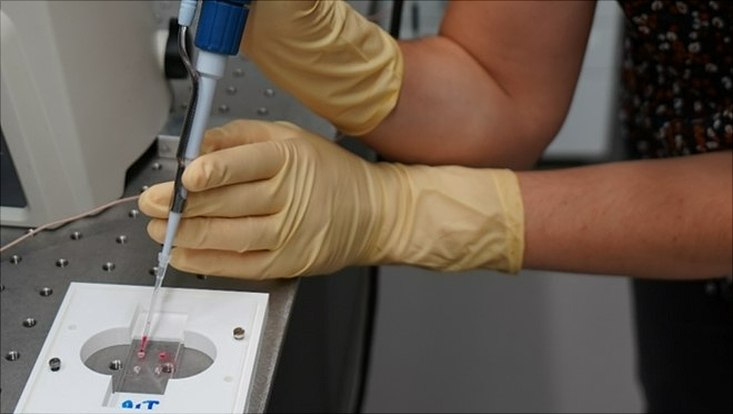 Plastik Nanochips im Labor