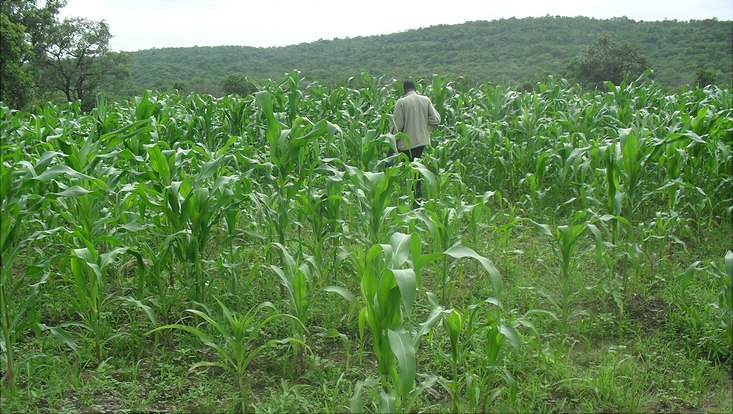 Farmer in Benin