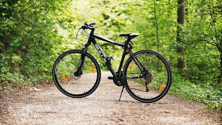 schwarzweisses Fahrrad auf braunem Waldweg zwischen Bäumen
