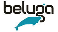 Graphic representation of the Beluga project