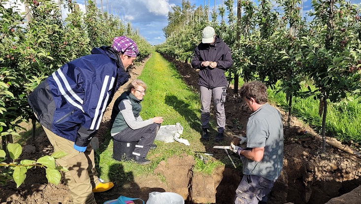 Menschen in einer Obstbaumplantage