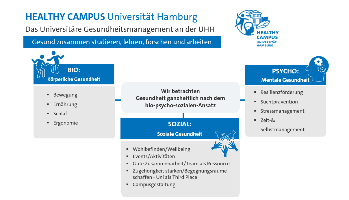 Grafische Darstellung des bio-psycho-sozialen Ansatzes