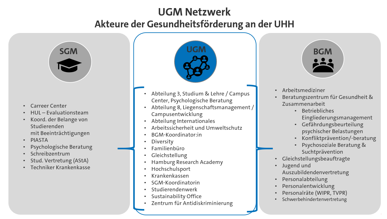 Grafische Darstellung des UGM Netzwerks mit den Akteuren der Gesundheitsförderung an der UHH: Das UGM setzt sich zusammen aus studentischem und berieblichem Gesundheitsmanagement