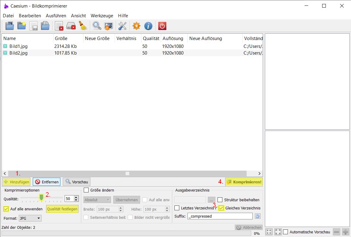 Screenshot von Caesium, hergestellt von der Firma SaeraSoft