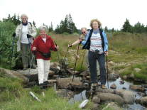 Nordic Walking